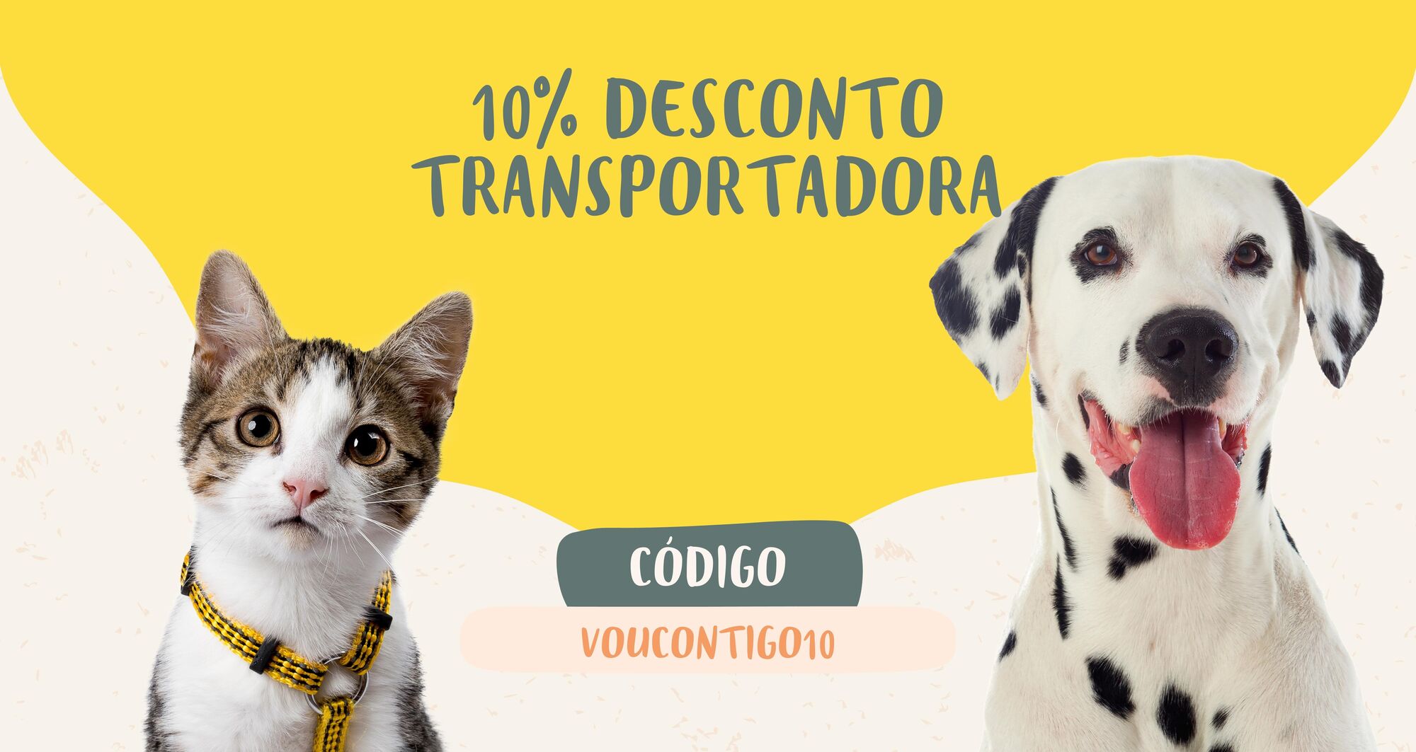 PROMO transportadoras